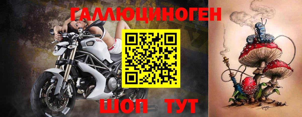 Учалы  Псилоцибиновые грибы Psilocybe  Вход с VPN 